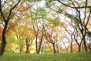 Photoshop画像編集